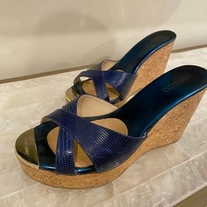 Dark Blue Jimmy Choo Wedges